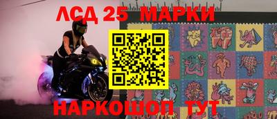 скорость Кингисепп