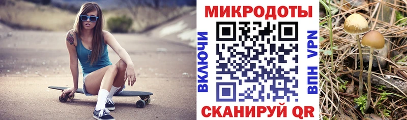 хочу   Лабинск  Псилоцибиновые грибы прущие грибы 