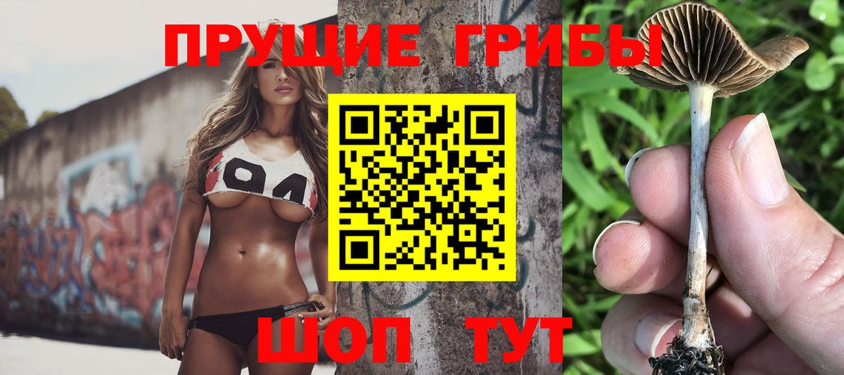 Псилоцибиновые грибы Psilocybe  Вход с VPN  Лабинск 